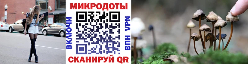 Галлюциногенные грибы Psilocybine cubensis  наркошоп  Челябинск 